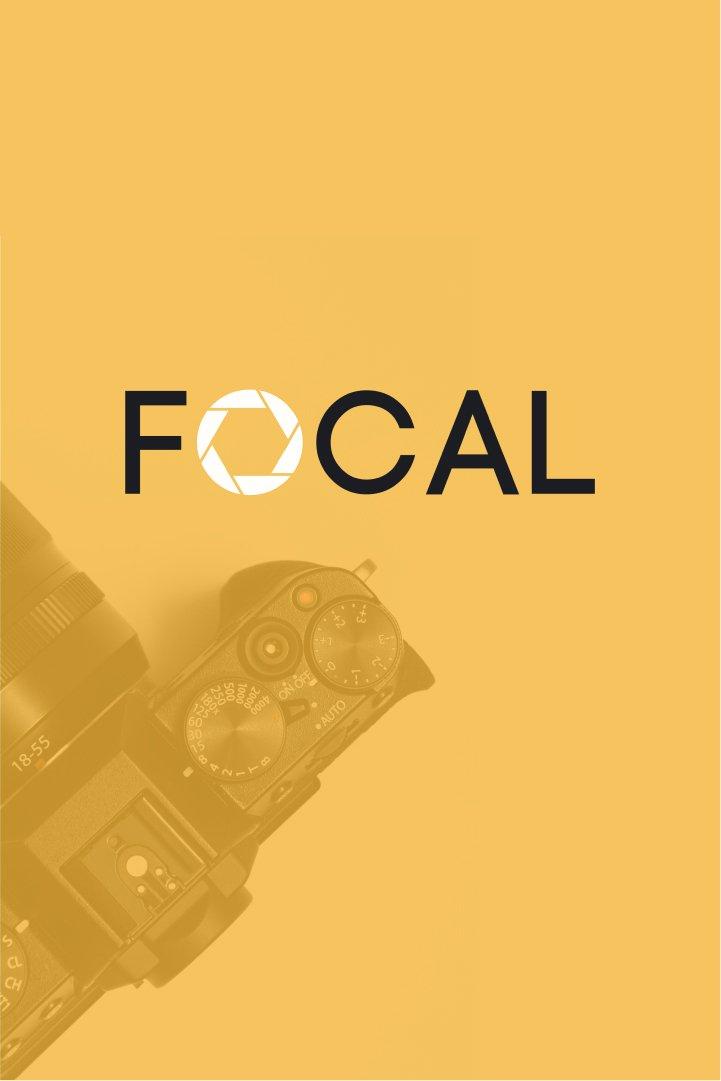 Tim and Carol: Love on the Shore, A Sun-Drenched Celebration